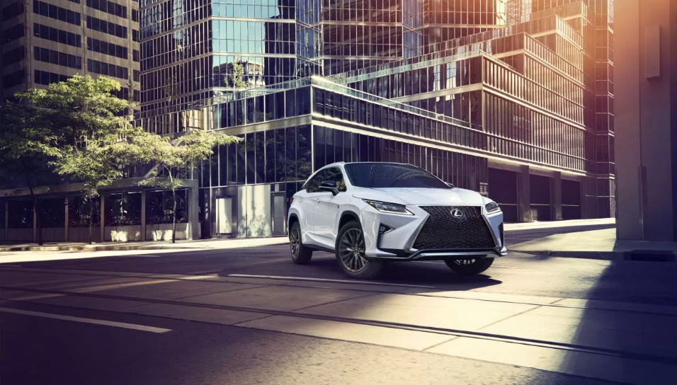 Showroom Lexus Cam Ranh