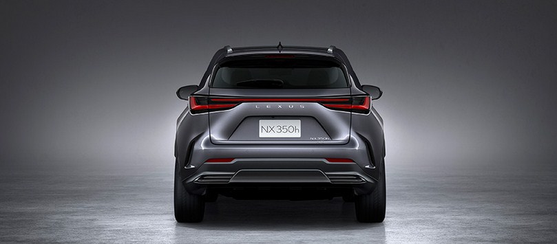 THỂ HIỆN CẢM GIÁC CỦA CHẤT RẮN VÀ TĂNG CƯỜNG MẠNH