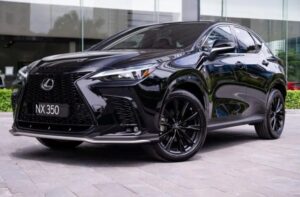 So sánh điểm khác biệt giữa Lexus NX 350h 2025 và Lexus NX 350 F Sport 2025 – Lựa chọn SUV nào phù hợp với bạn?